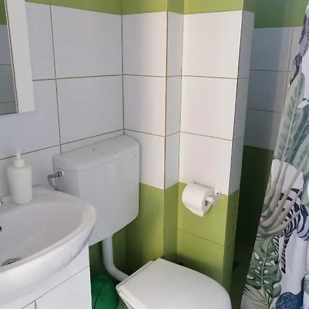 Pensionat Vila Mirick *