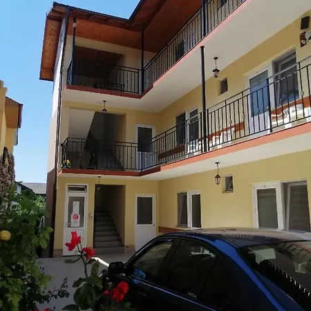 Vila Mirick Pensionat *